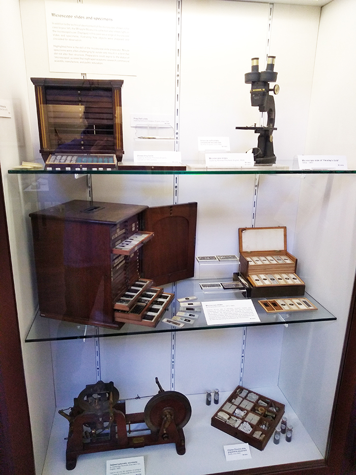 View of museum display including the kit and slides