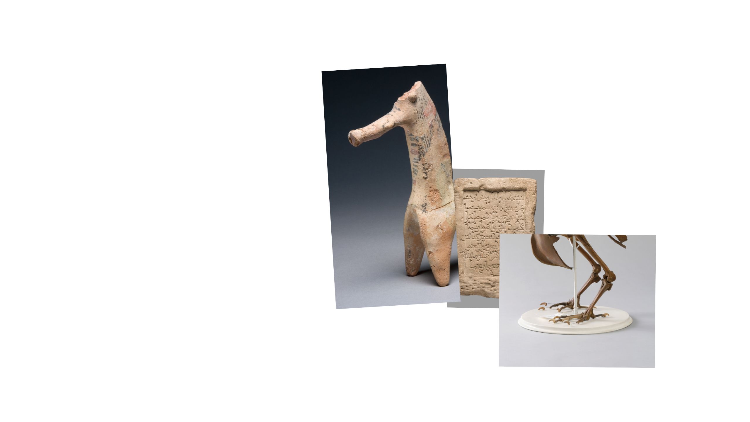 Different objects merging to create a horse like creature