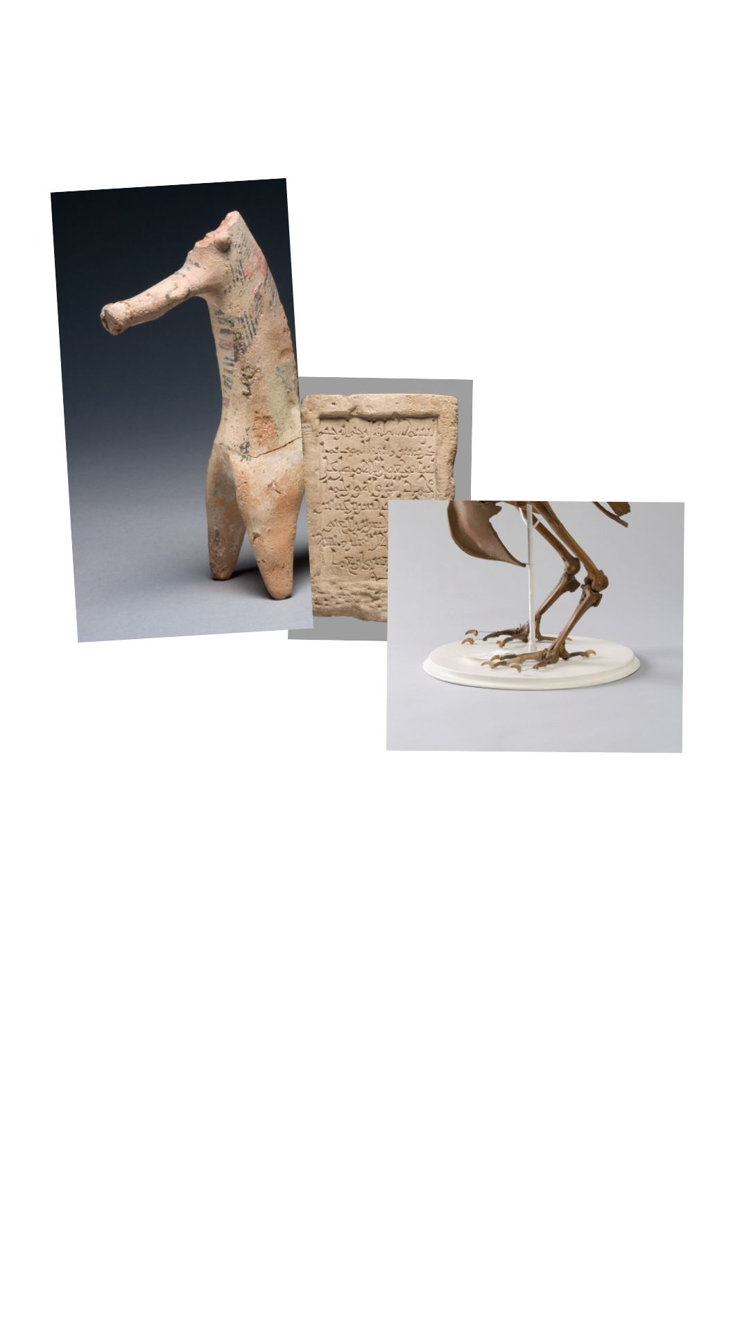 Different objects merging to create a horse like creature