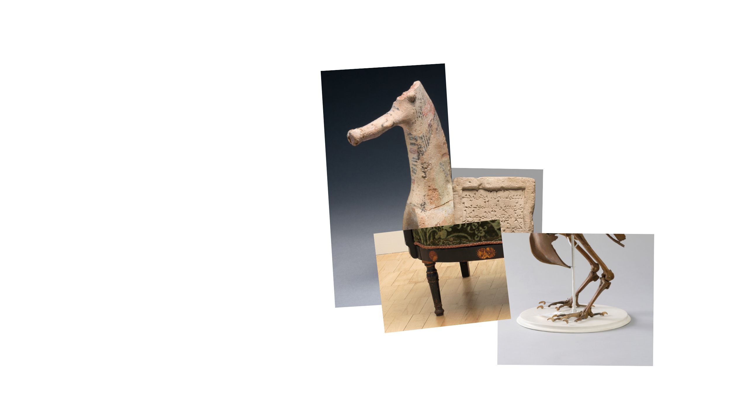 Different objects merging to create a horse like creature