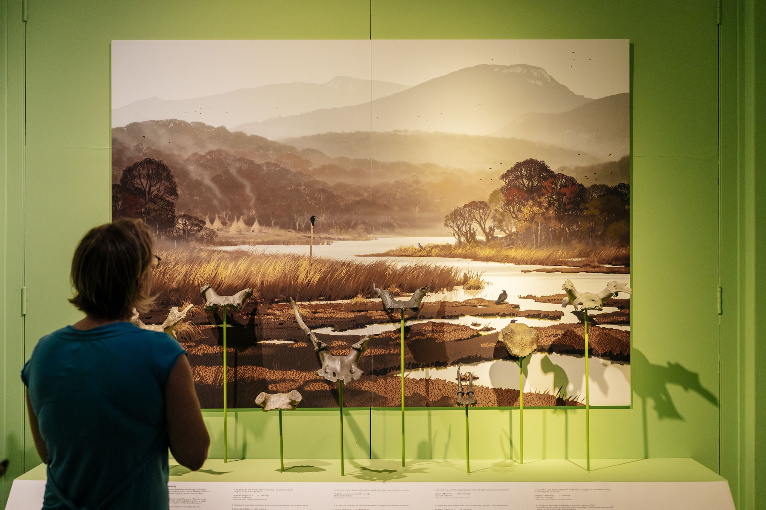 A visitor looks at a display of antler headdresses against the backdrop of a reconstructed prehistoric landscape