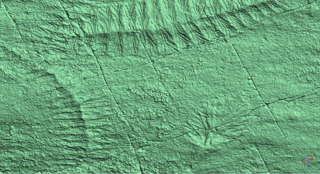 Studying the earliest animal life - Cambridge University Museums
