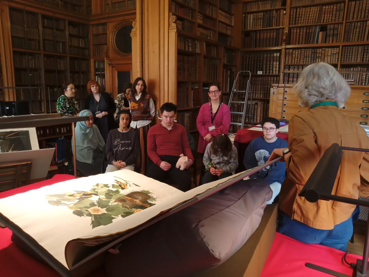 Children seated in a wood-panelled room looking at images of birds.