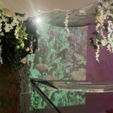 A close up of the Happy Place installation with a floral projection on the wall, hammock and fabric and foliage hanging from the ceiling.