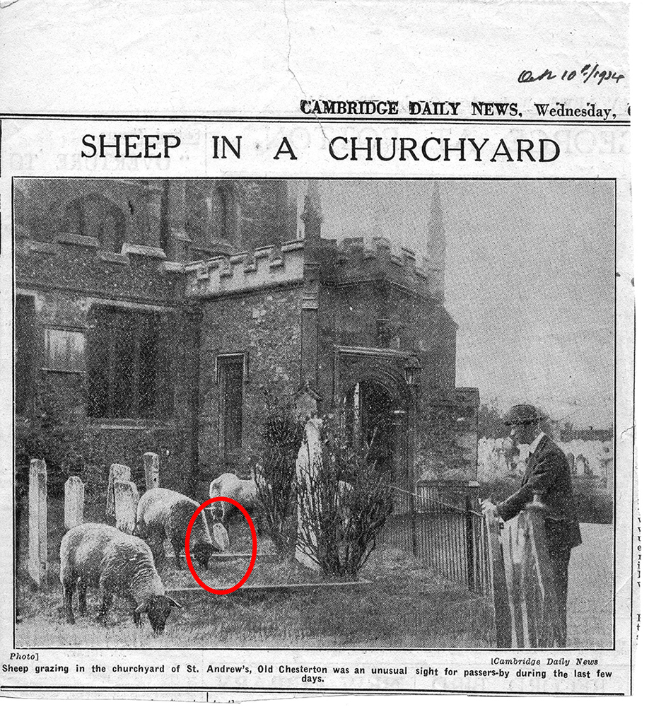 A black and white article and photograph of St Andrew’s churchyard from the Cambridge Daily News, 10 October 1934, showing Anna Maria Vassa’s footstone (circled in red).