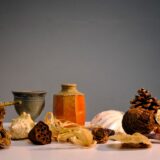 An assortment of objects on a table, including ceramic pots, pine cone and shells.