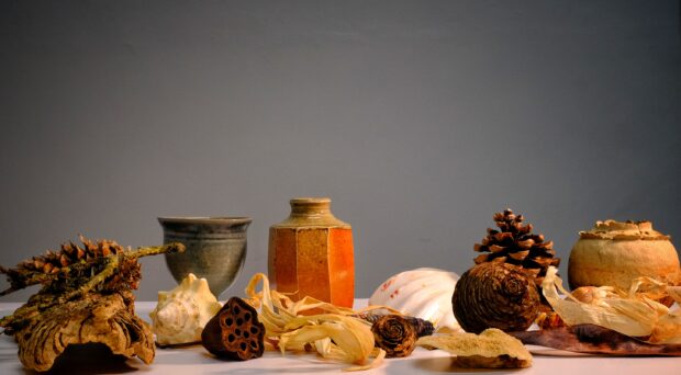 An assortment of objects on a table, including ceramic pots, pine cone and shells.
