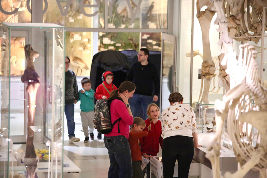 Four children, one wearing headphones with parents/ carers, in the Museum of Zoology gallery, filled with animal skeletons.