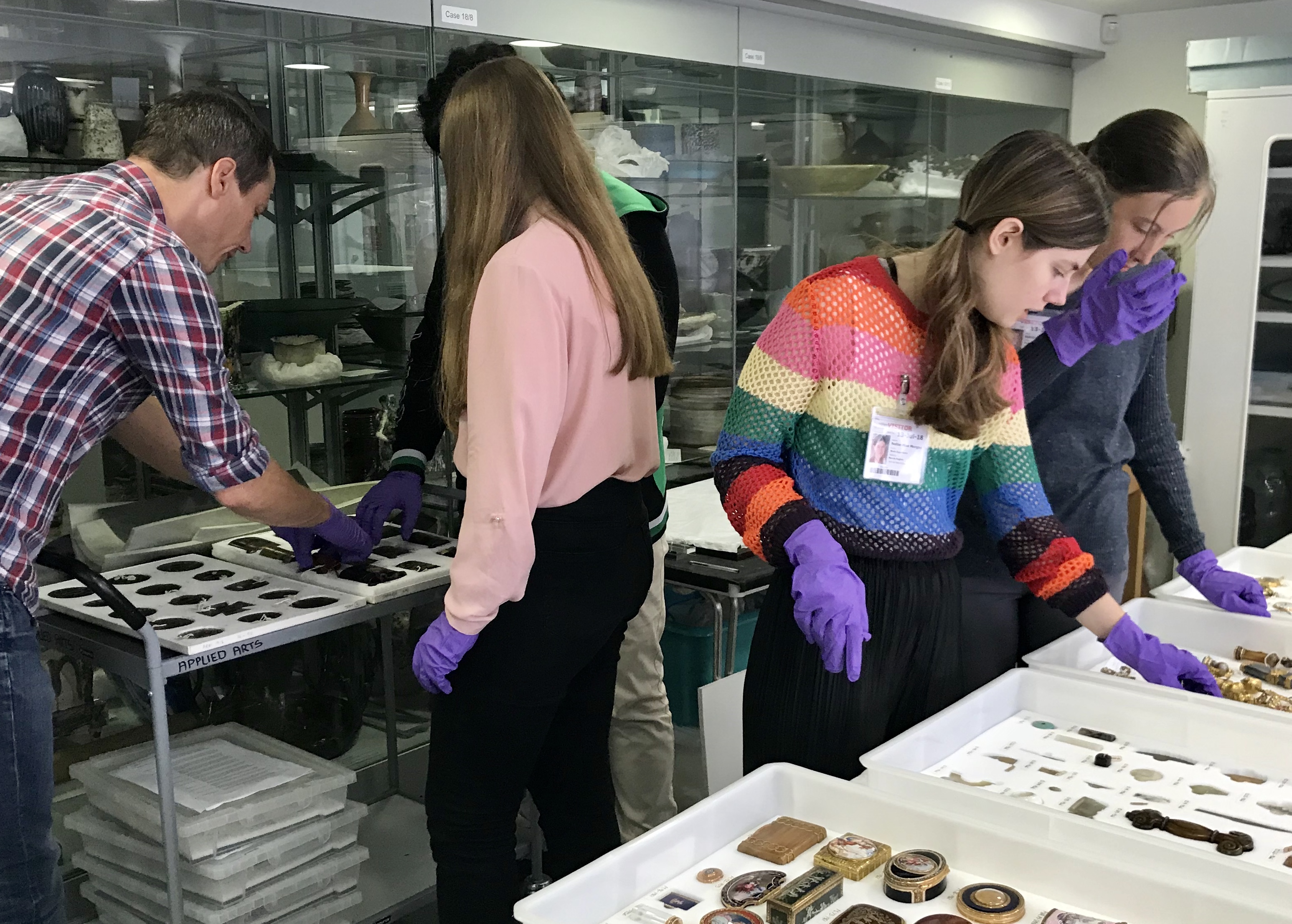 Work experience at the Zoology exploring the collections