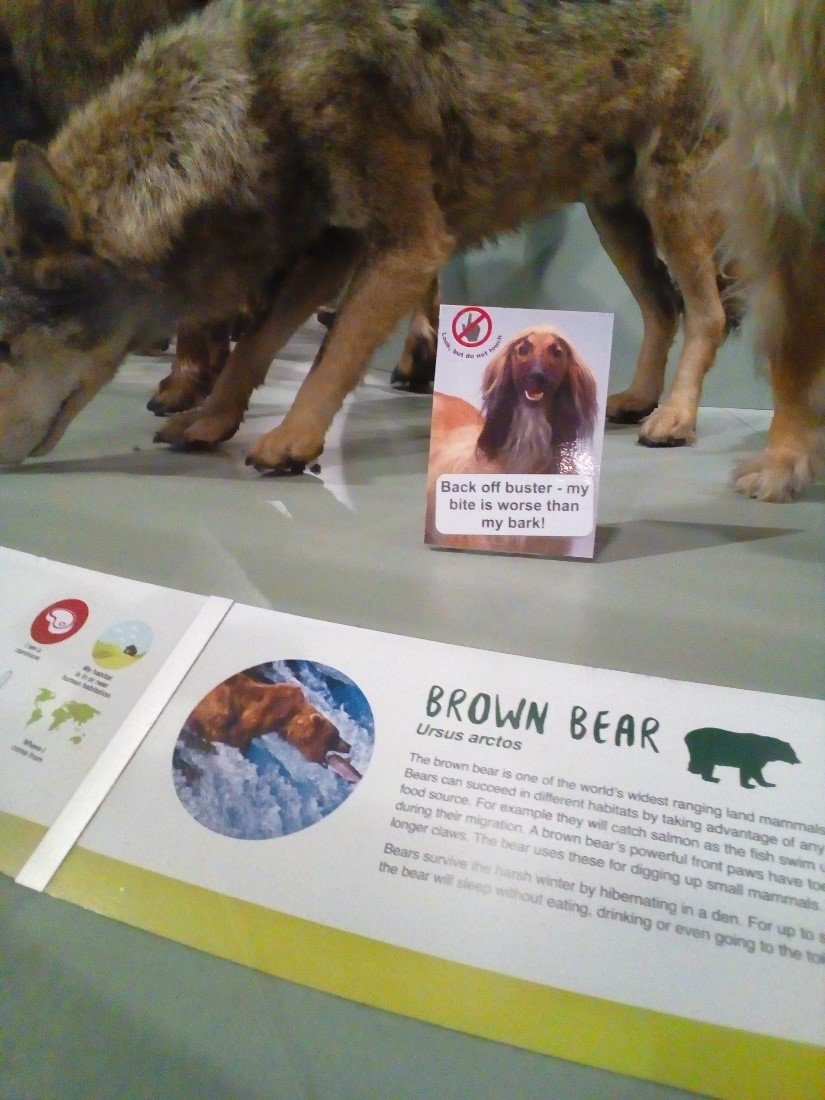 The bottom half of a display of a brown bear, with its usual label, and an extra label in a plastic stand that reads "Back off Buster! My bite is worse than my bark."