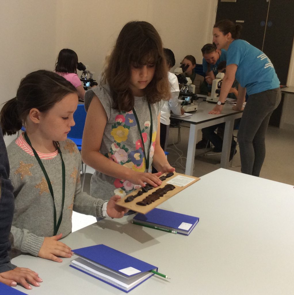 Two girls look closely at an Inuit artifact 