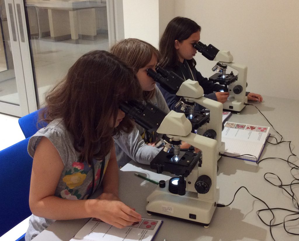Three children look into microscopes at pollen samples