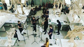 A view from above of the musicians performing in the middle of a gallery