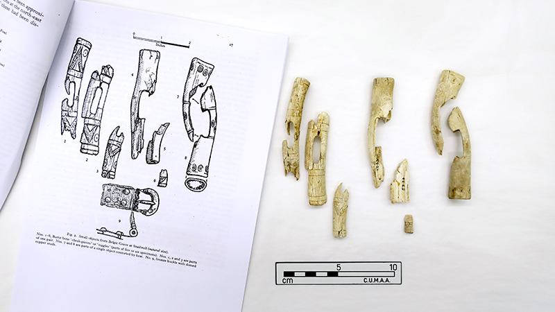 Toggles alongside an archaeology drawing of them 