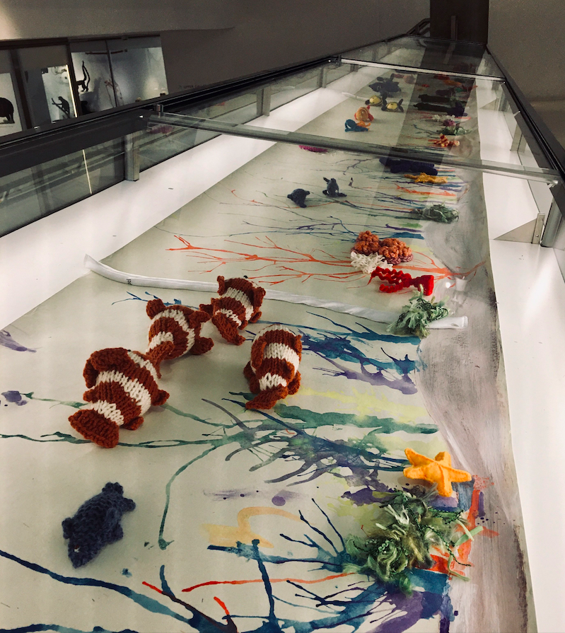 Knitted and crocheted ocean animals (including clown fish and star fish) in the display case alongside the coral reef painting.