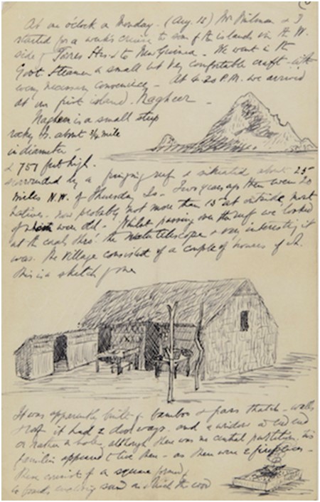 Page from Haddon's journal featuring text and drawings