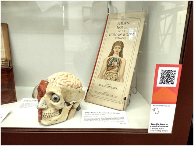 Display cabinet at the Whipple Museum containing model of the human head and a 20th century guide to a model of the female body.