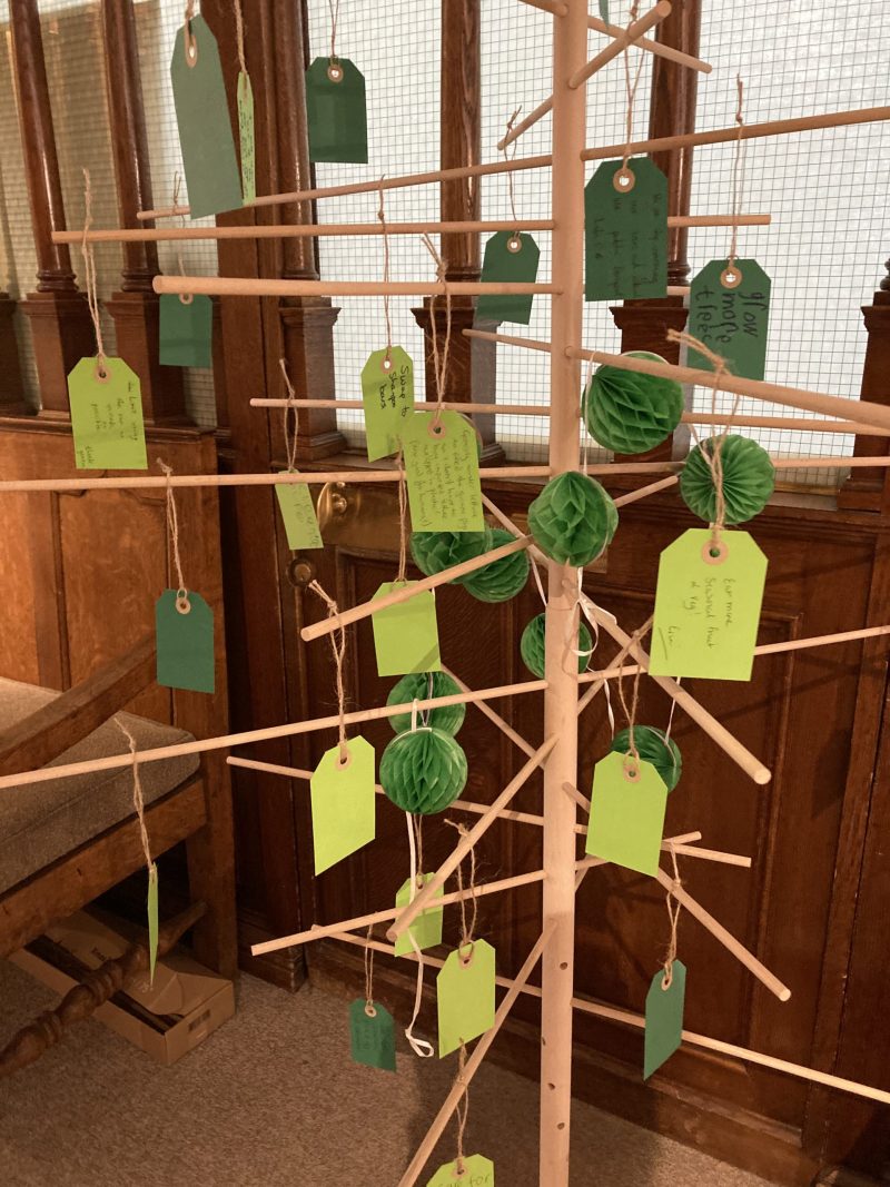 Wooden 'ideas tree' hung with green labels displaying visitors' ideas on how to protect the environment.