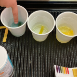 4 plastic cups filled with small amount of liquid. Each cup has a piece of litmus paper in to show the different acidity.