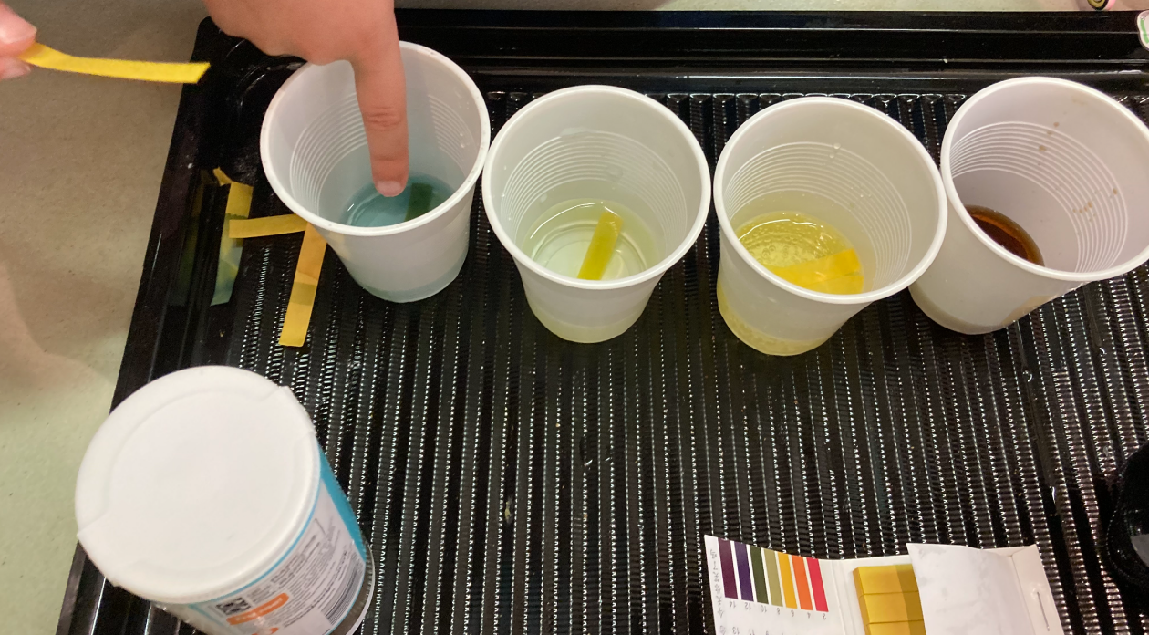 4 plastic cups filled with small amount of liquid. Each cup has a piece of litmus paper in to show the different acidity.