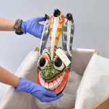 A pair of purple-gloved hands lifts a brightly coloured face-like Sri Lankan mask from its storage box.