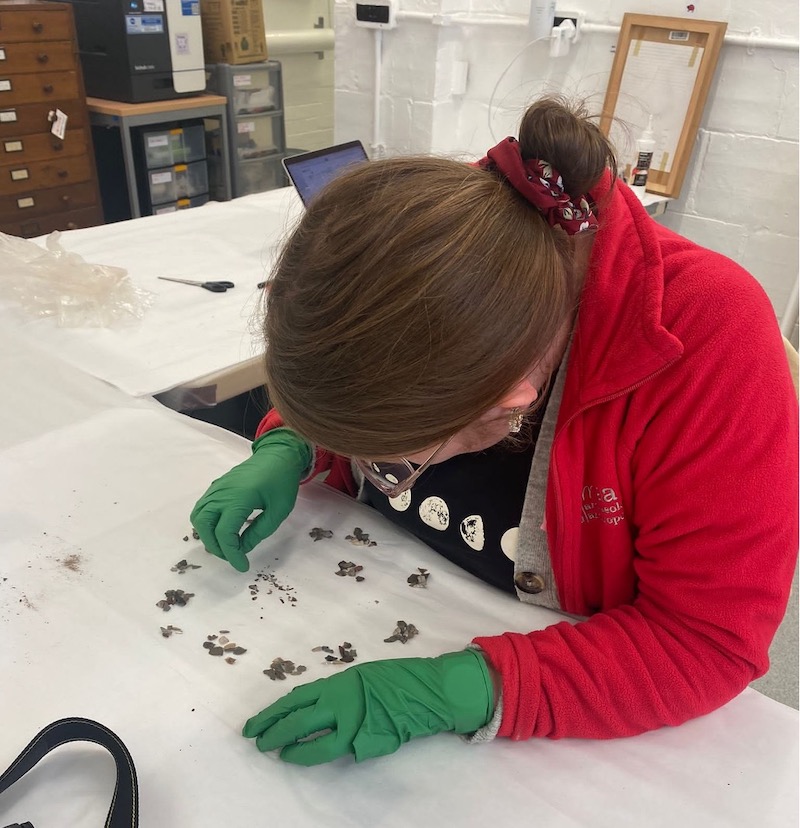 A woman wearing a red cardigan and green nitrile gloves sits at a table counting tiny fragments of stone