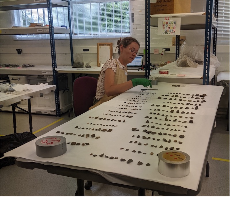 Woman seated at long table with many examples of stone fragments