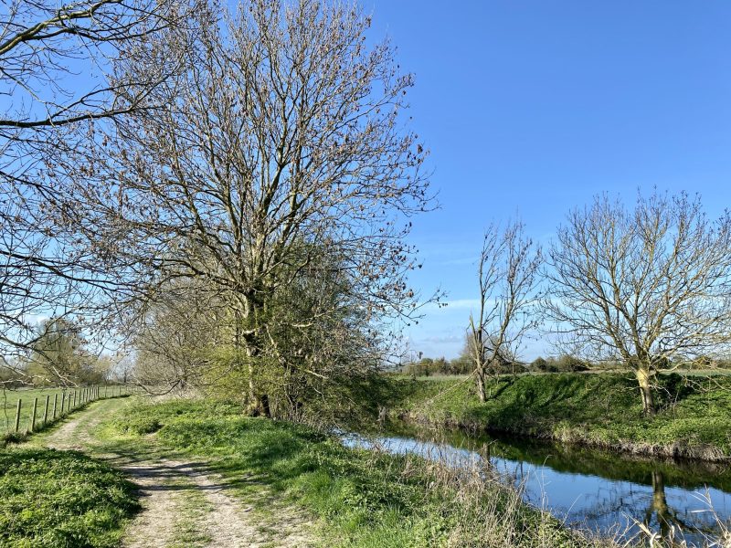 Riverbank with path running alongside, trees and blue sky