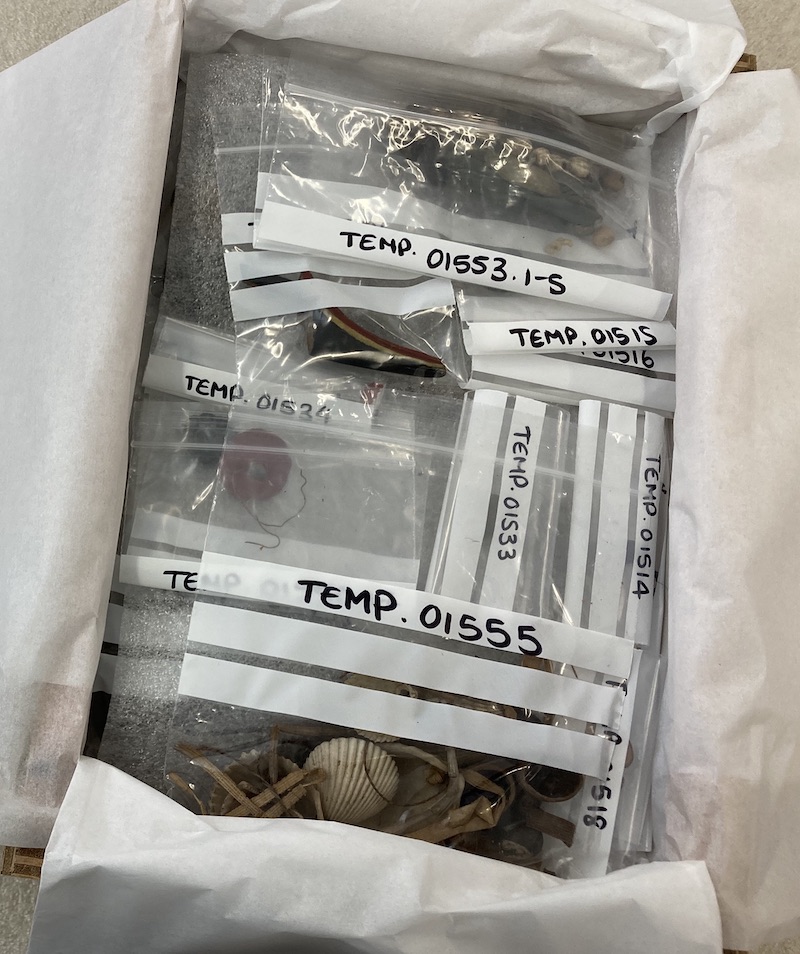 Objects in labelled plastic bags tucked into a tissue paper-lined box