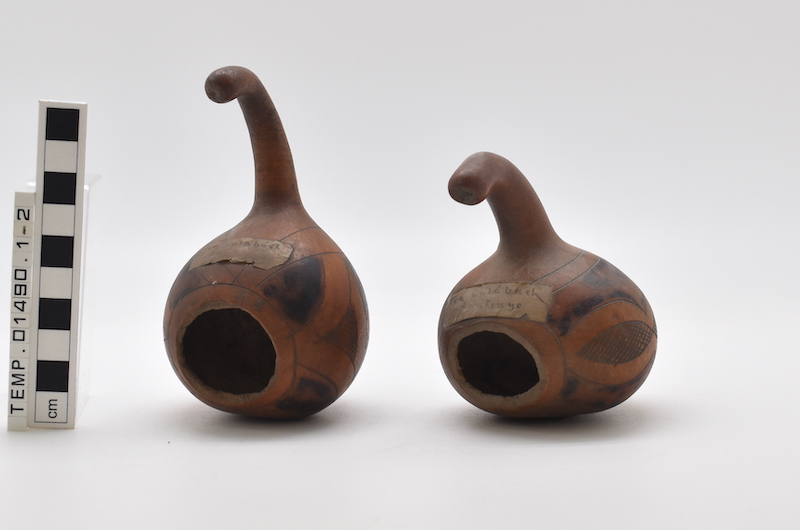 Two small gourds fashioned into cups. The position of the objects has the handles on the top of the gourd.