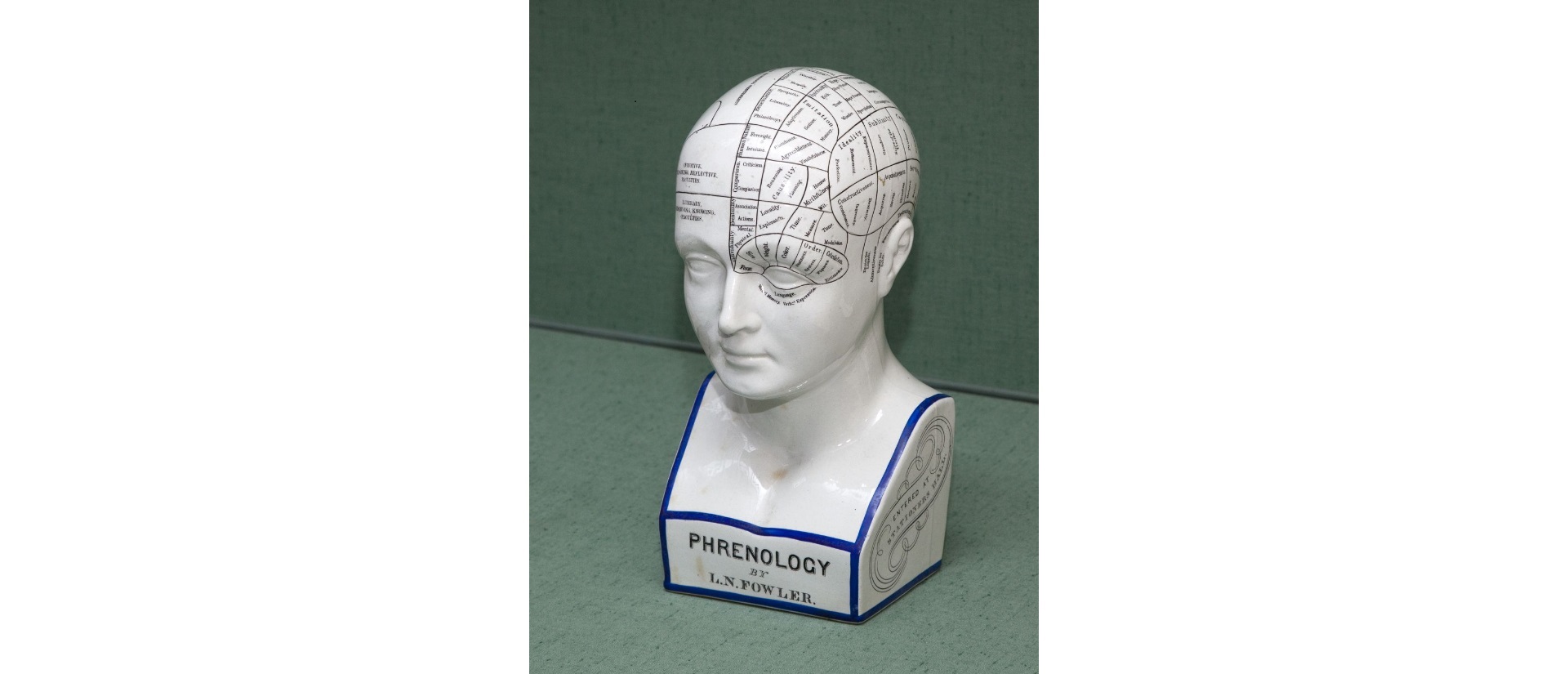 Phrenological head: a white ceramic head with black markings to show areas for different attributes 