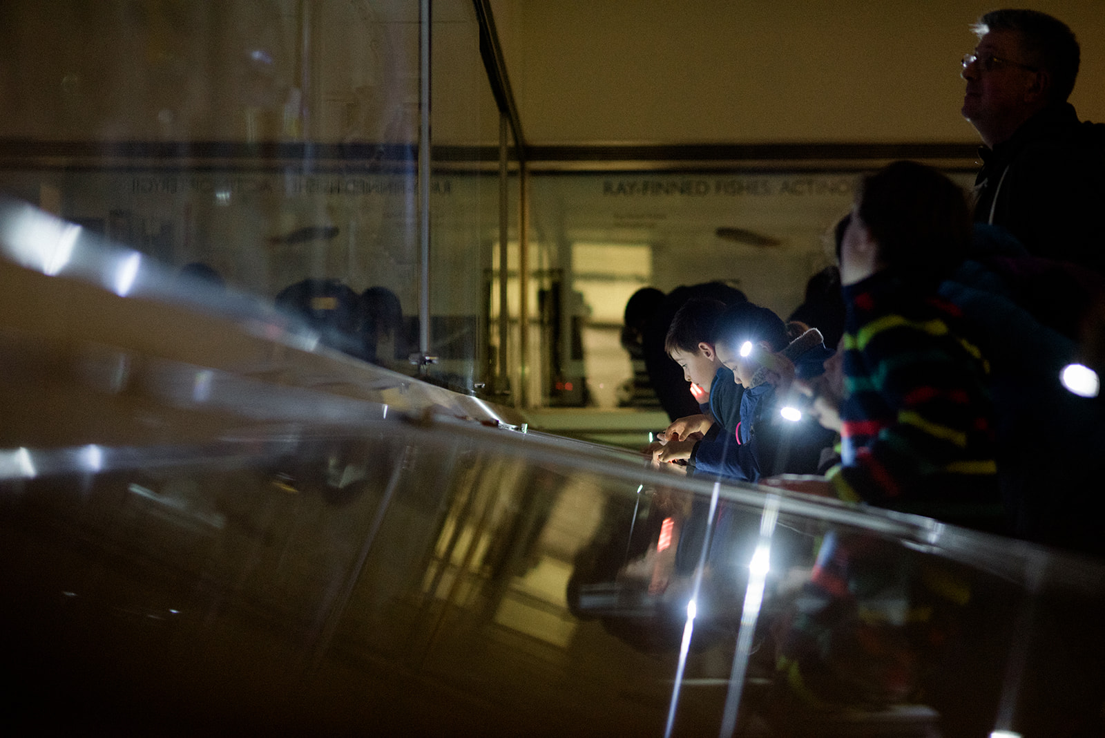 Children exploring objects with torches