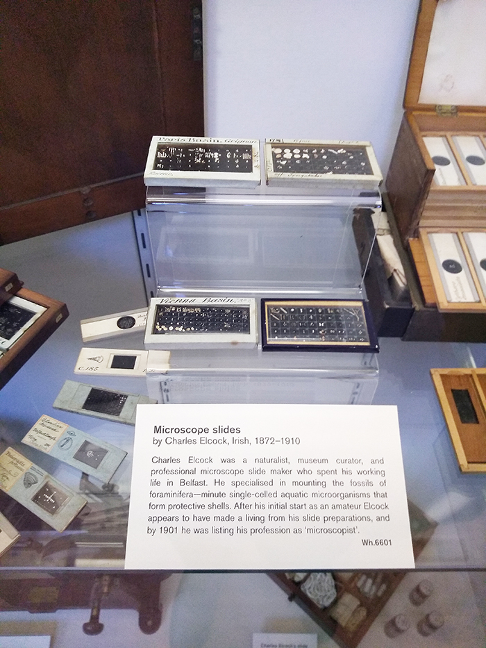 Microscope slides