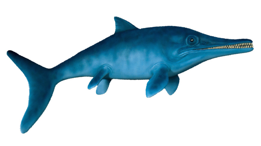 ichthyosaur