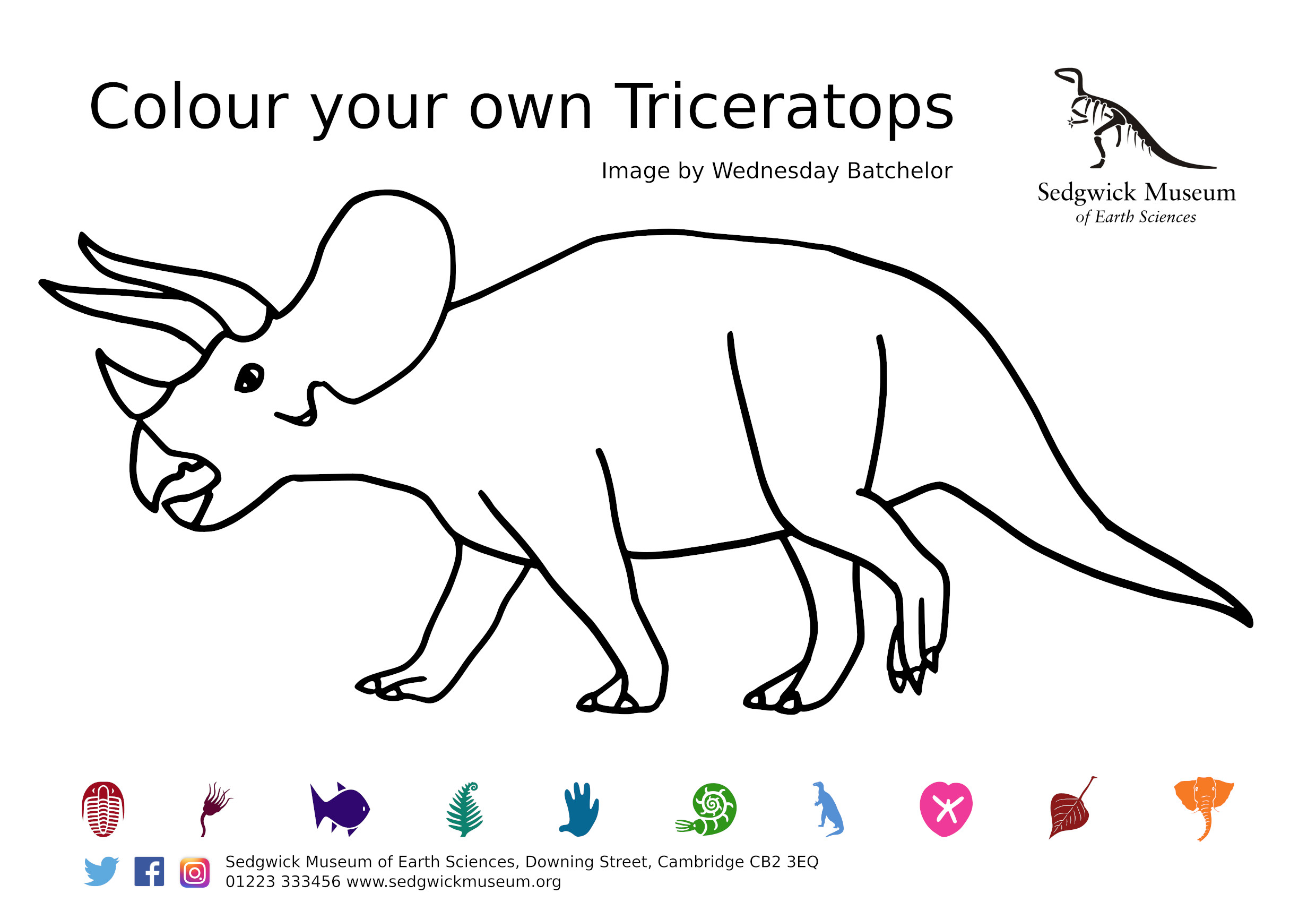 Triceratops colouring