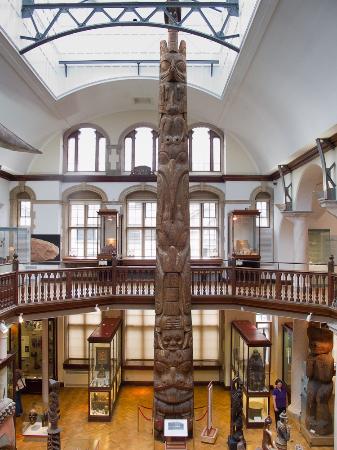 totem pole in the museum of archaeology and anthropology
