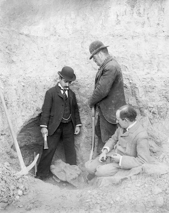 black and white photograph of three men excavating a fossil