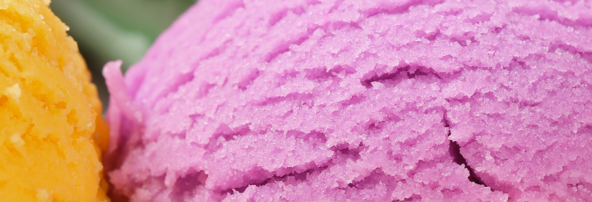 Why do you need salt to make icecream? University of Cambridge Museums