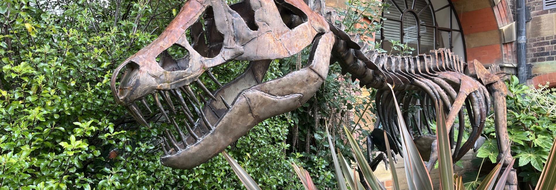 Dinosaur Egg Hunt | University of Cambridge Museums