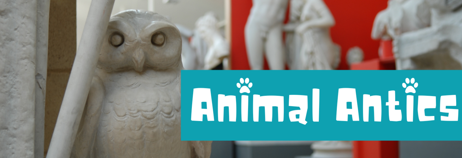 Animal Antics | University of Cambridge Museums