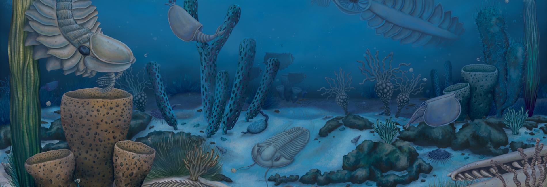 Explore Earth's Earliest Animals | University of Cambridge Museums