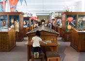 A child exploring the exhibits during summer at the museums