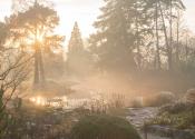 The gardens in winter