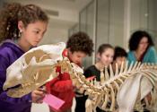 A school trip at the museum looking at objects