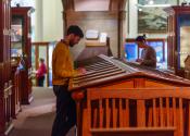 People sketching in the Sedgwick Museum