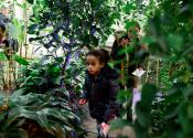 Visitors exploring the Tropical Range in the Glasshouse