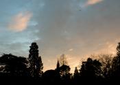 Dusk at the Botanic Garden