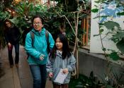 Visitors inside the Glasshouse