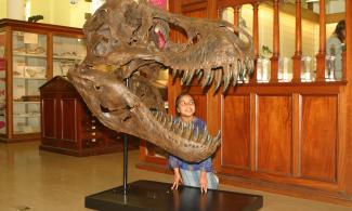 A small child looking into a dinosaur skull
