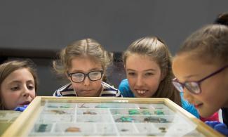 children looking at Zoology objects